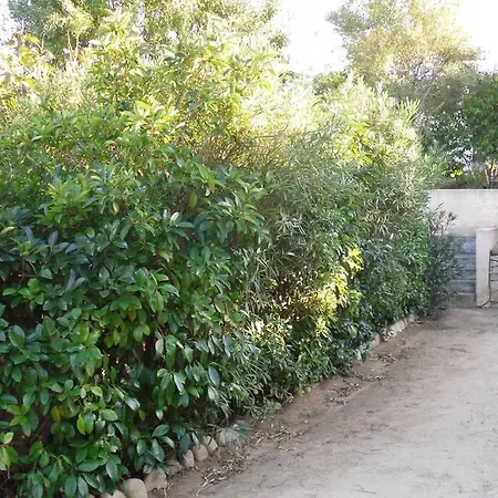 Casa Louise 3 Etoiles *